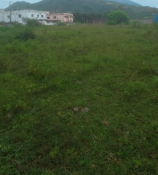 Residential Plot in Ashok Nagar
